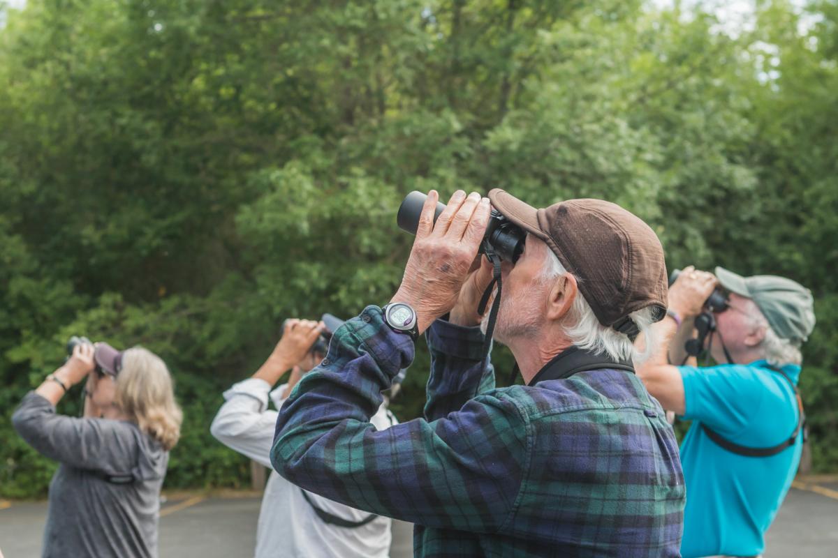 Birding by Michael Sherman