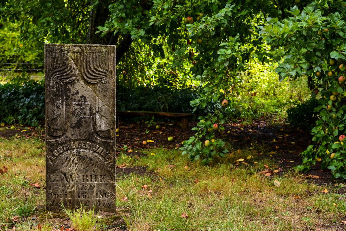 Luper Pioneer Cemetery by Melanie Griffin