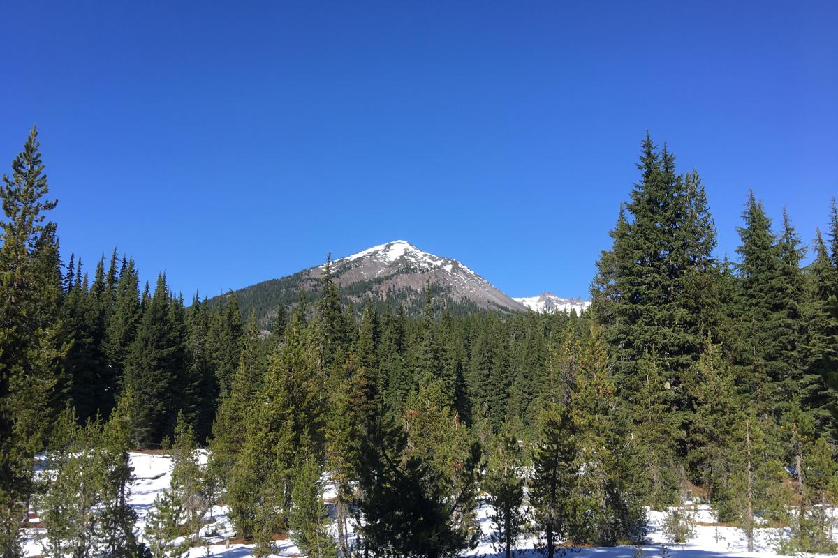 Diamond Peak Wilderness by Bri Matthews