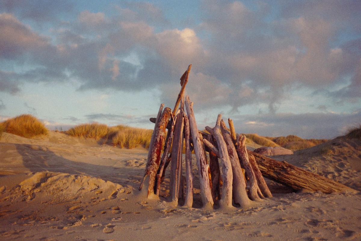 Driftwood Dream Palace on the Oregon Coast by April Dimmick