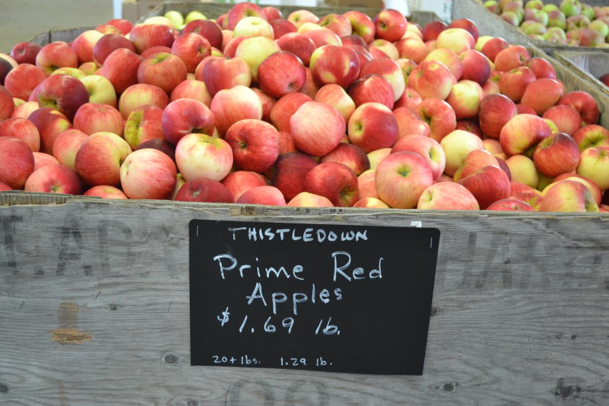 Apples at Thistledown Farm by Sally McAleer