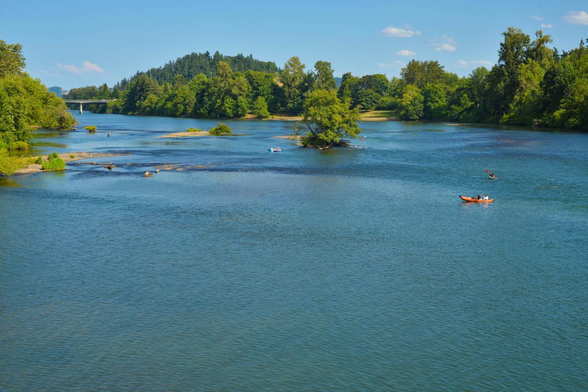 A kayaker on the Willamette River in summer time