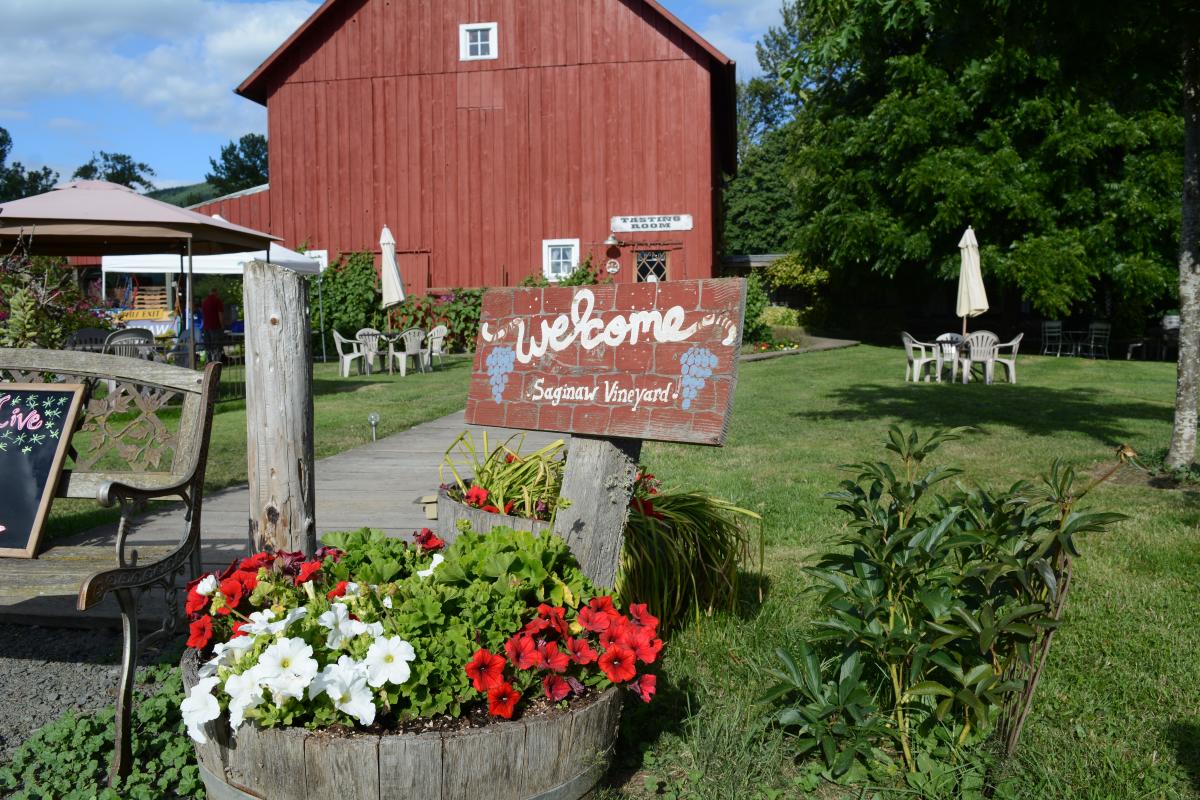 Saginaw Vineyard - Cottage Grove by Colin Morton