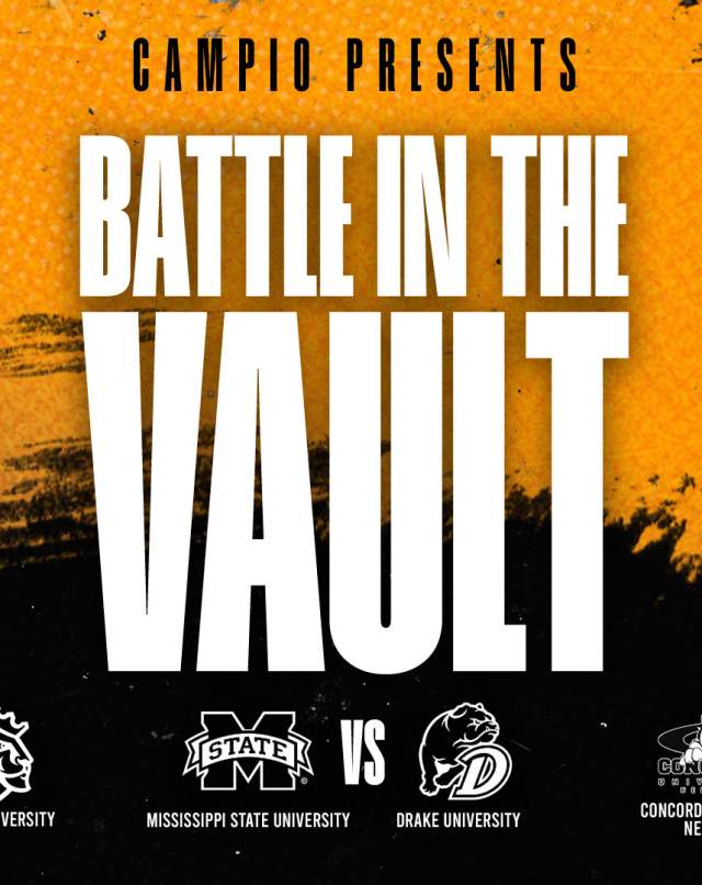 Battle in the Vault