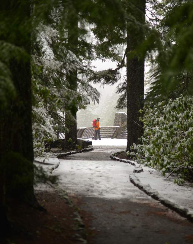 A snowy, treelined path leads to a person in brightly colored snow gear