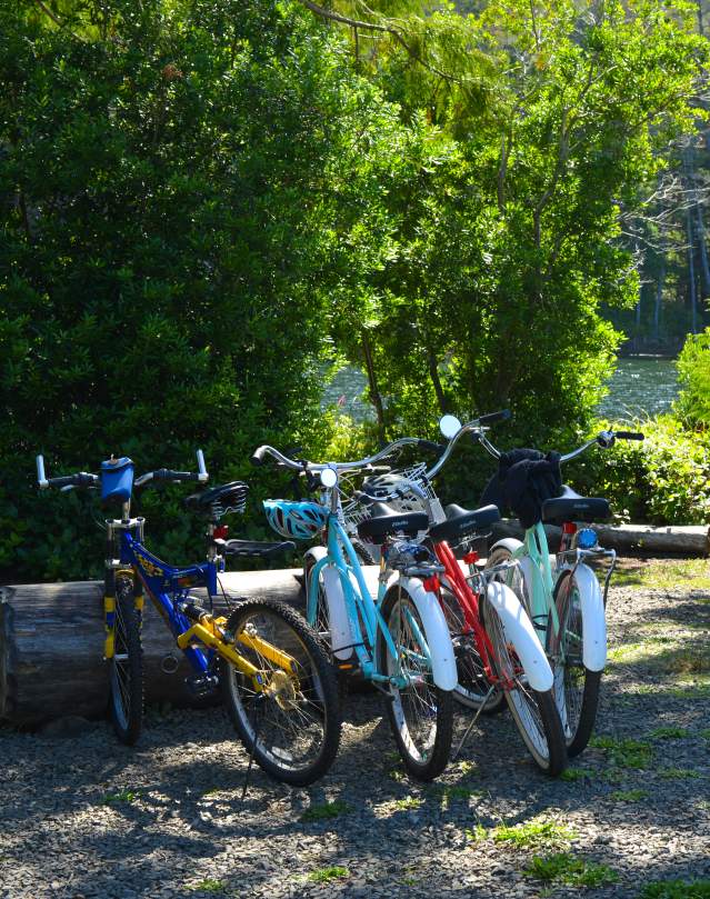 A colorful collection of bicycles in the bike rack by Cleawox Lake.