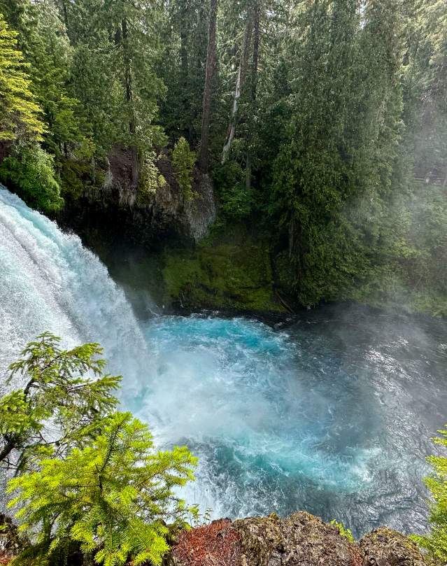 Koosah Falls in the summer
