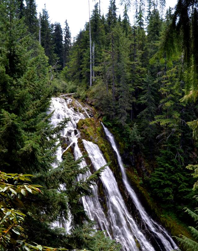 Diamond Creek Falls by Sally McAleer