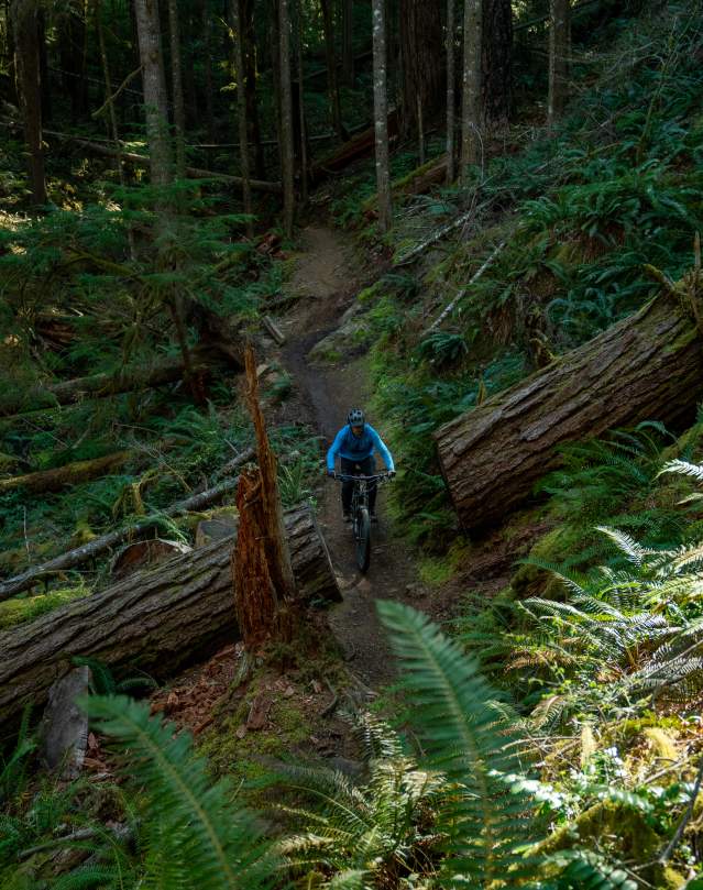 King-Castle Trail mountain biking