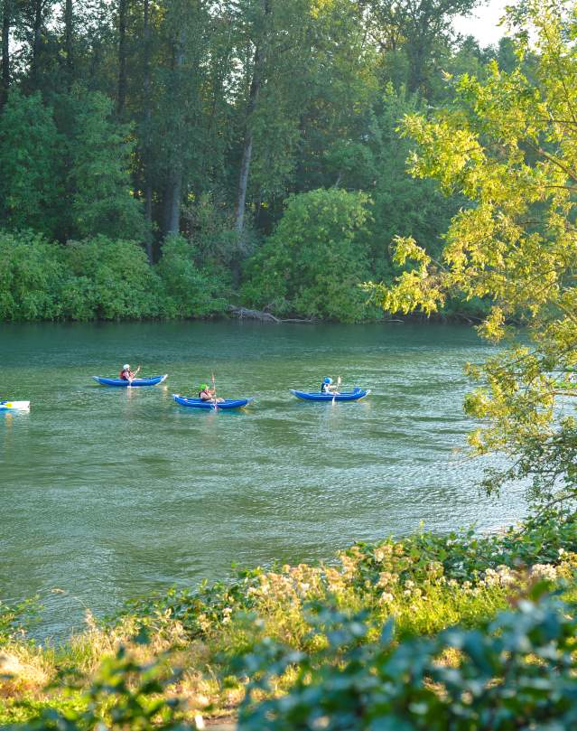 Kayaking the Willamette River