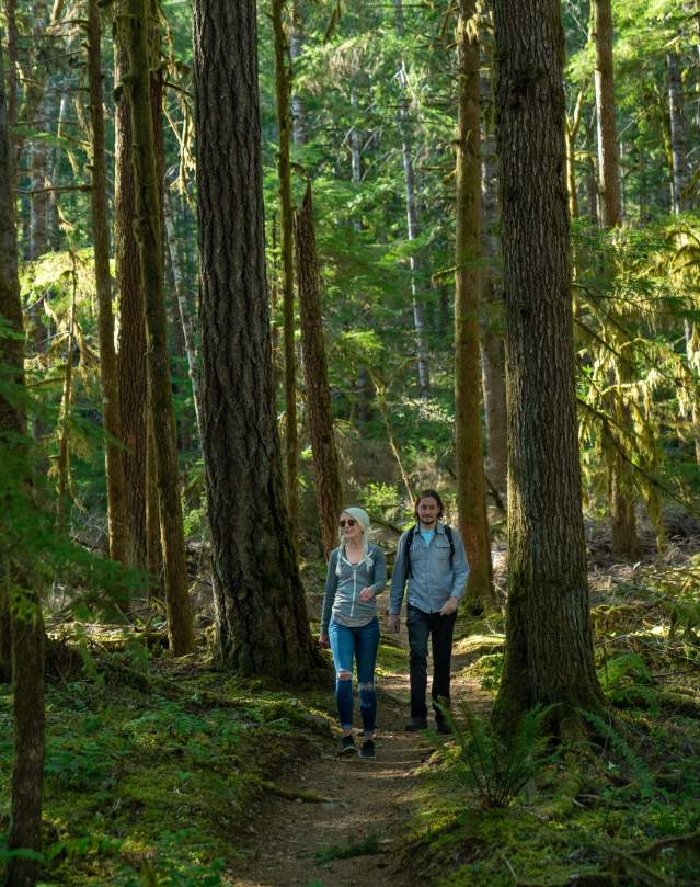 Kings Castle Trail