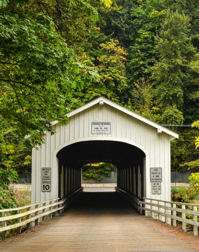 A covered bridge roadway surrounded by trees turning autumn colors.