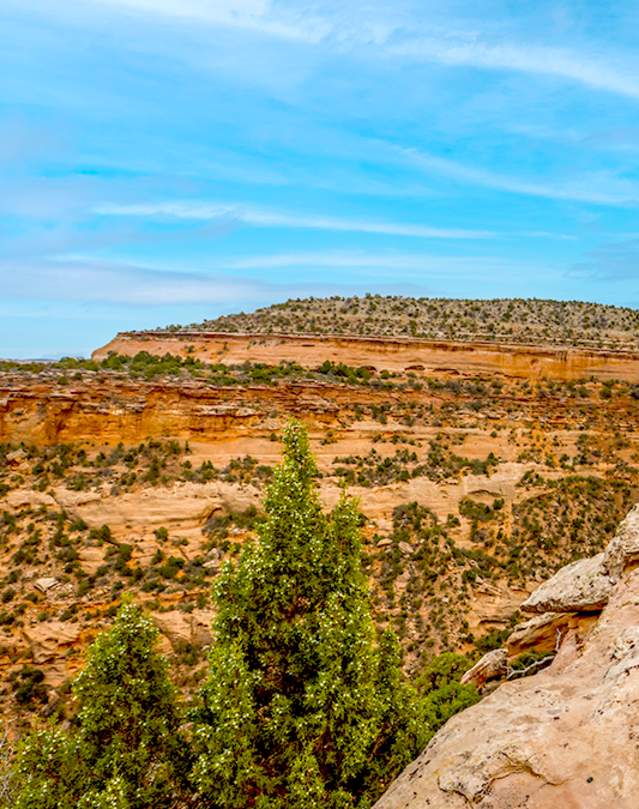 A Male and Female Enjoy A Picnic in Colorado National Monument