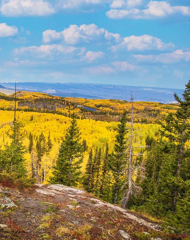 A Male and A Female Look out at the Fall Colors on the Grand Mesa