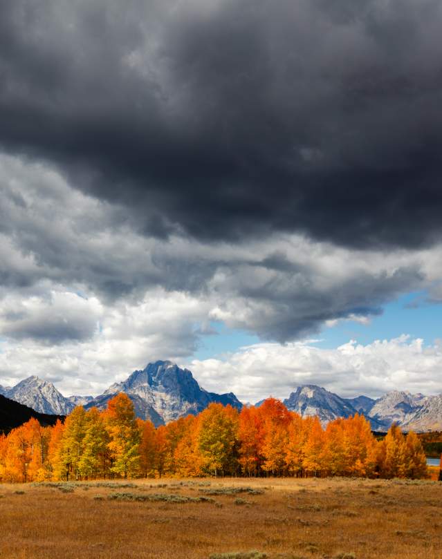 Mt Moran Fall Colors - Jay Kazen