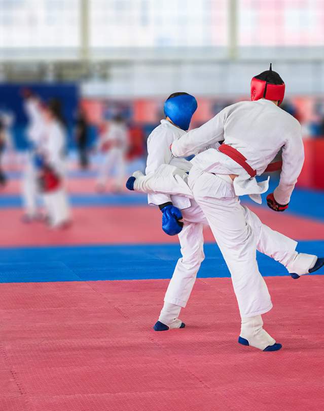 Martial Arts Competition