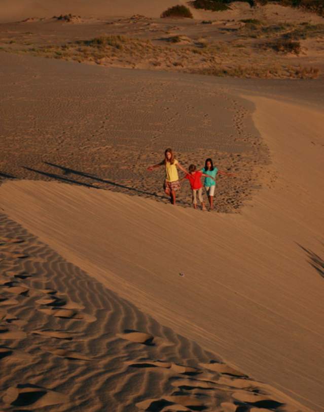Jockeys Ridge State Park