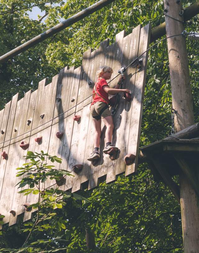 Wild Wood Adventure