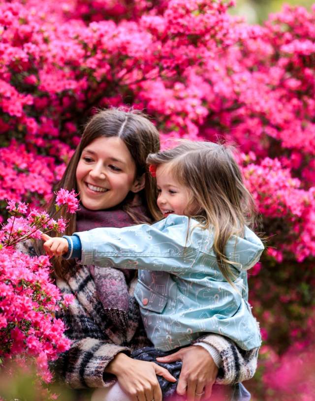 Spring in Wisley Garden
