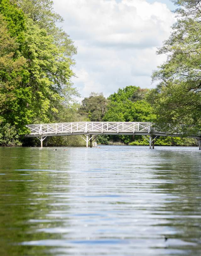 A view of the lake in Hartsholme Country Park, with a white bridge across the water