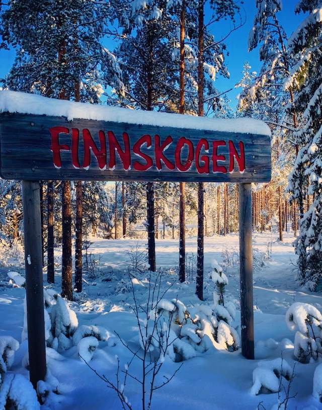 Finnskogen ved Gravberget gård