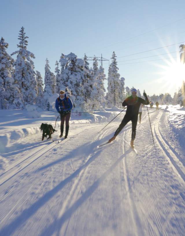 Winter sun in the cross country skiing tracks at Lygna near Lushaugen