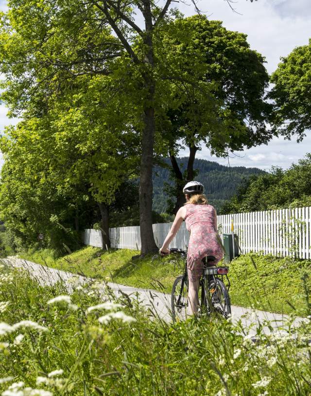 Sykle gjennom vakker natur nær Sløvika i Hadeland