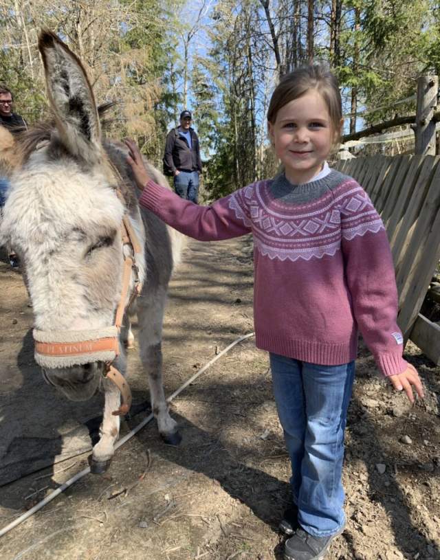 Jente klapper et esel på "The Funny Farm"
