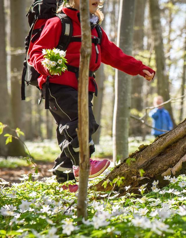 Dame som går tur i hvitveis i Albyskogen