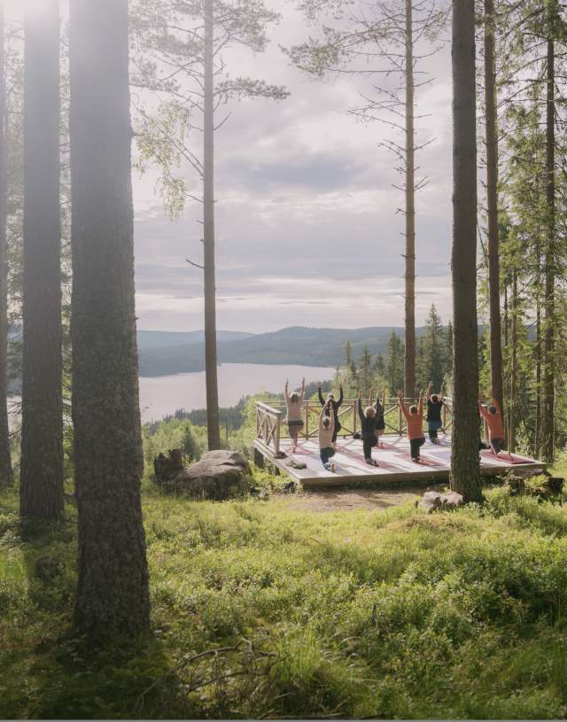 Solskinnsyoga på Finnskogtoppen