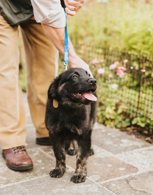 A dog on a lead stood next to a man with gardens in background