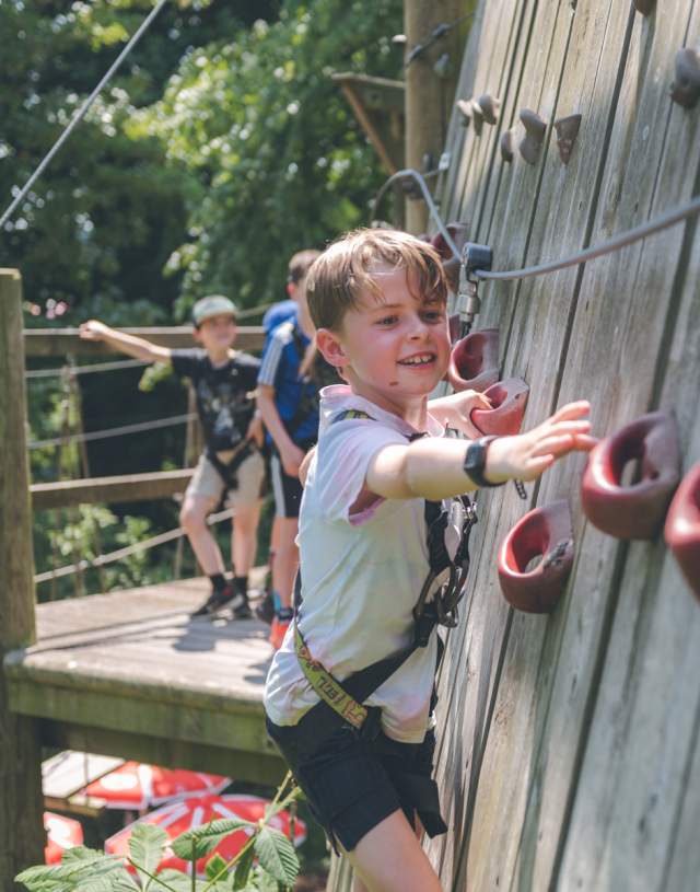 Children enjoying Wild Wood Adventure, in Guildford