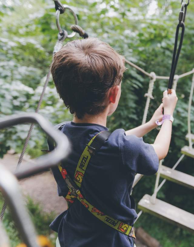 Children walking over rope bridges at Wild Wood Adventure, Guildford