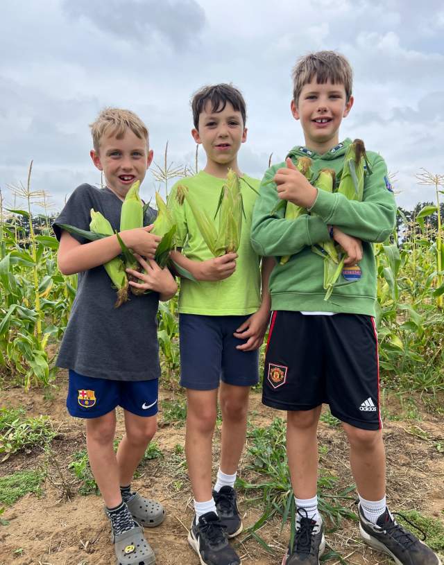 Sweetcorn Weekend at Secretts