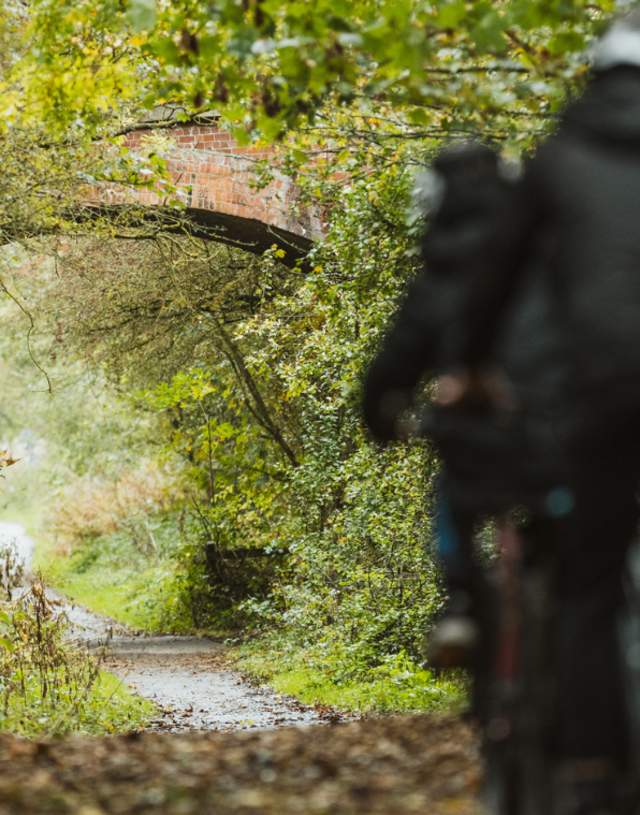 The backs of three cyclists heading under a bridge on the hornsea trans pennine rail trail cycle path
