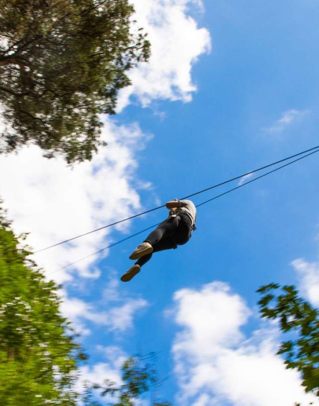 Go Ape, Farnham- Zipline