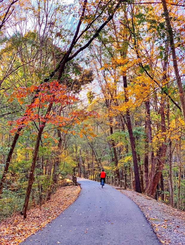 bicycle rider on a paved trail with fall colors