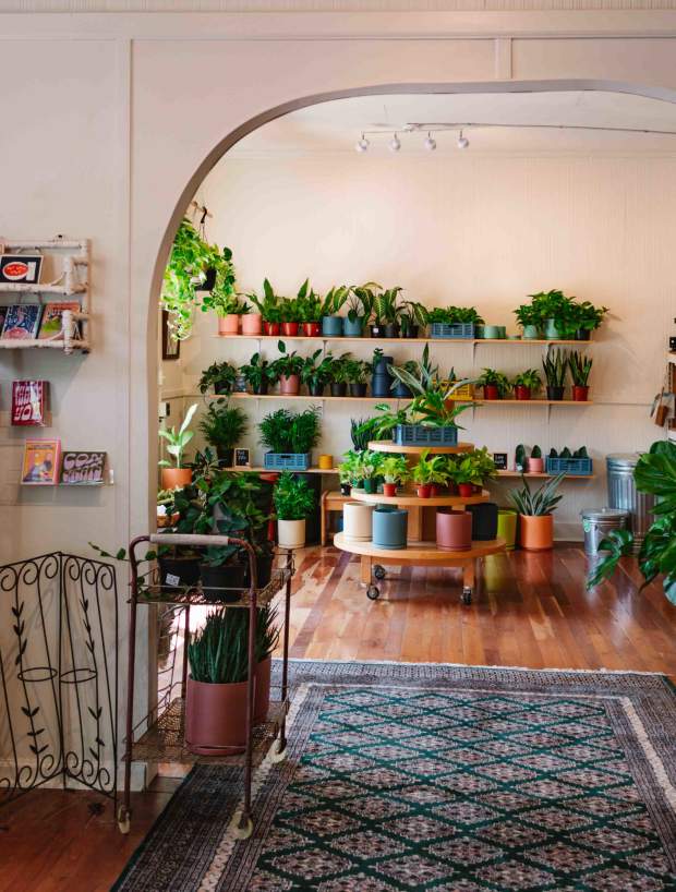 Pups Plants & Goods Shopping