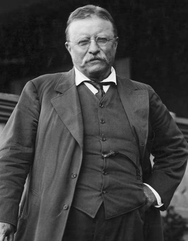 Teddy Roosevelt Getty