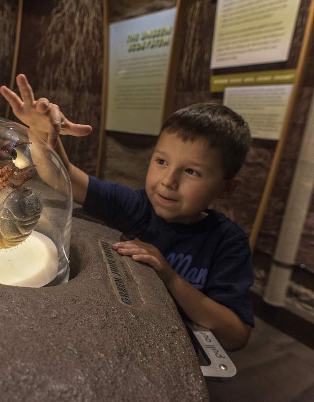 Boy playing at Flint Hills Discovery Center