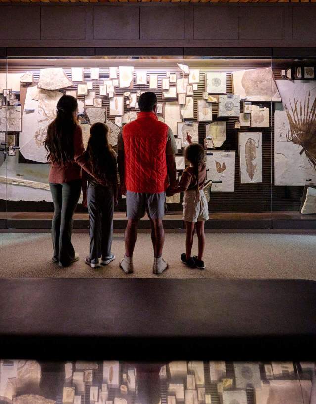 Family at museum