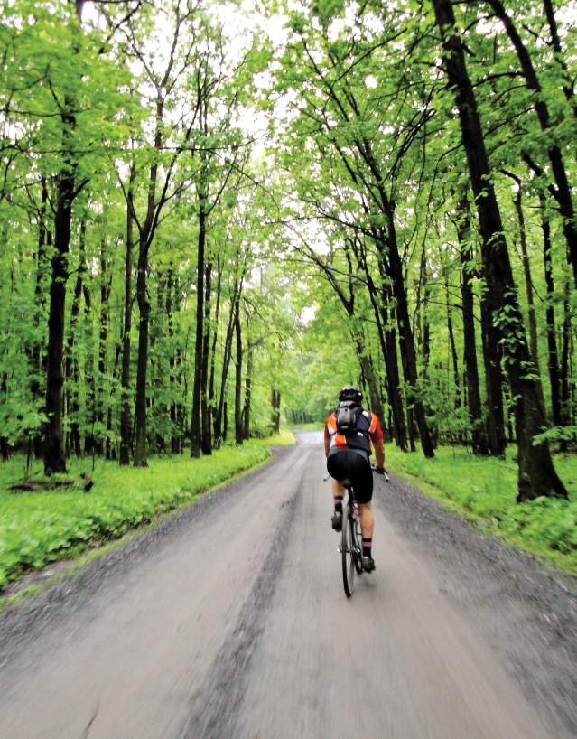 Person Biking A Trail In Frederick County, MD