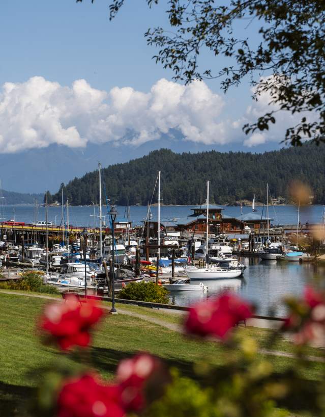 Looking out towards Gibsons Harbour as viewed from Winegarden Park