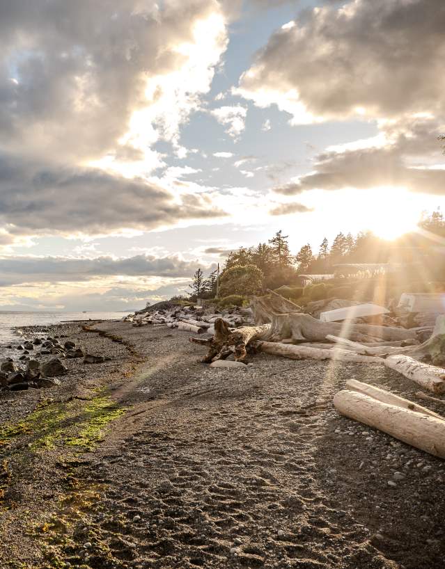 A tranquil beach on the Sunshine Coast