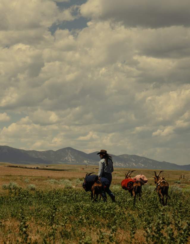 "Find your own path." Wyoming isn't just a destination it’s an experience. Whether you’re exploring the high plains or trekking into the mountain backcountry, adventure is waiting around every bend. Ready to answer the call of the West?