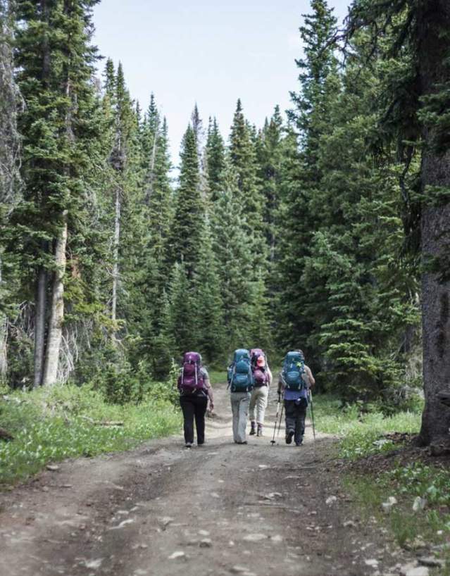 Hikers in a line along the Continental Divide Trail surrounded by scenic mountain views.