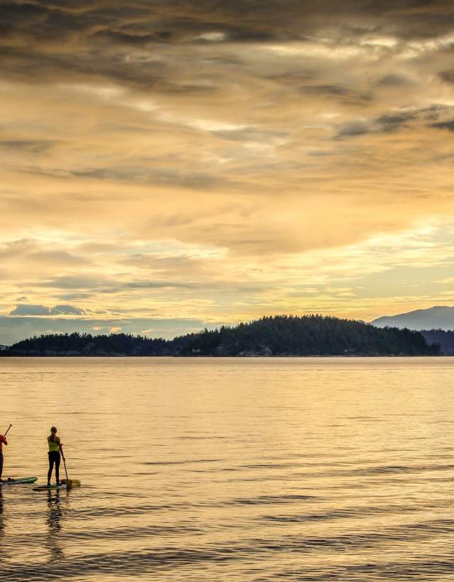 Three people on paddleboards enjoy the sunset.