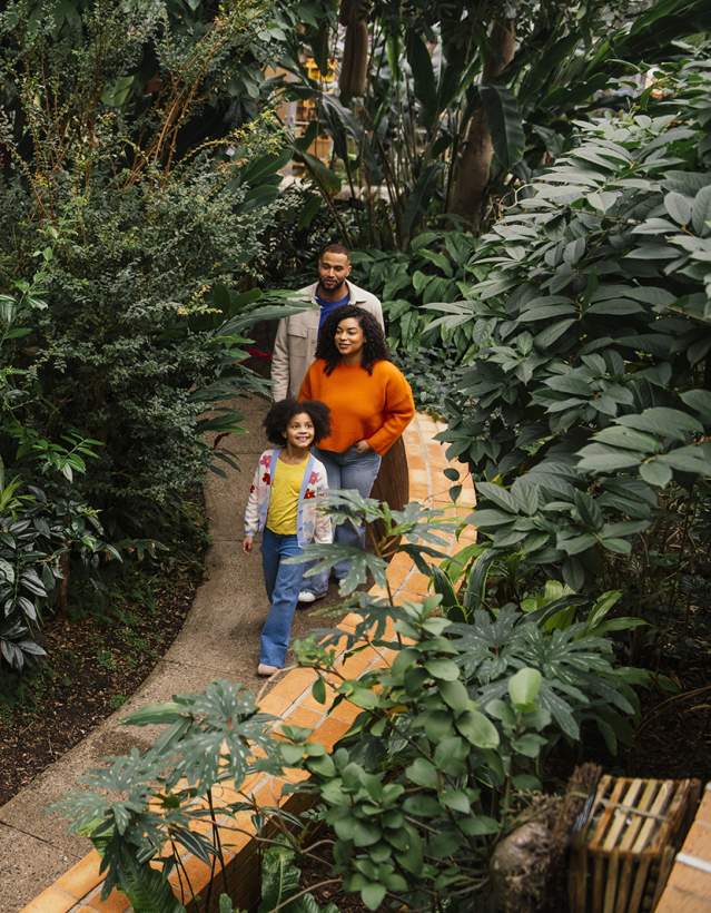 Family walking through Matthaei Conservatory