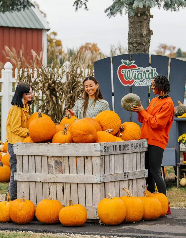 Three women looking at Pumpkins in a large crate with Wiard's Orchard sign in background