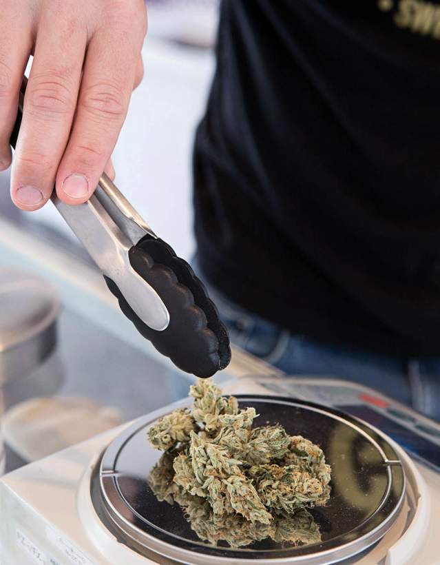 Cannabis Dispensary